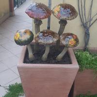 Ceramica vetrificata funghi Formano