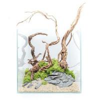 Acquario cubo 125 litri completo di tutto