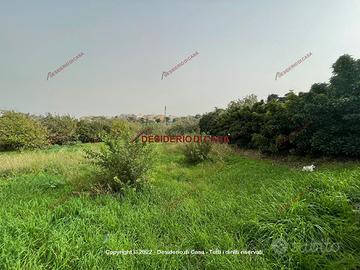 Terreno, Campofelice di Roccella.