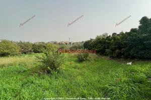 Terreno, Campofelice di Roccella.