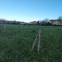 Appezzamento terreno per orto