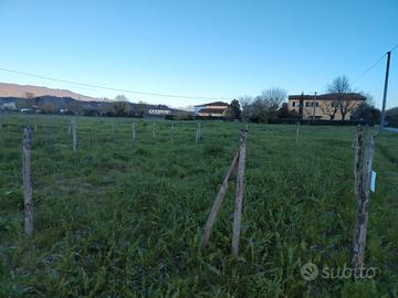 Appezzamento terreno per orto