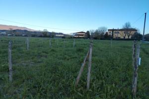 Appezzamento terreno per orto