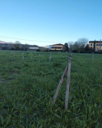 Appezzamento terreno per orto