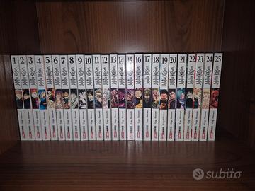 jujutsu kaisen 1-25