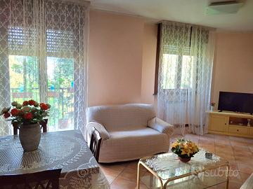 Comodo appartamento con area verde Persico Dosimo