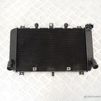 Radiatore Acqua Kawasaki Z900 2017–2023 Raffreddam