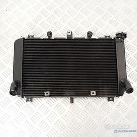 Radiatore Acqua Kawasaki Z900 2017–2023 Raffreddam