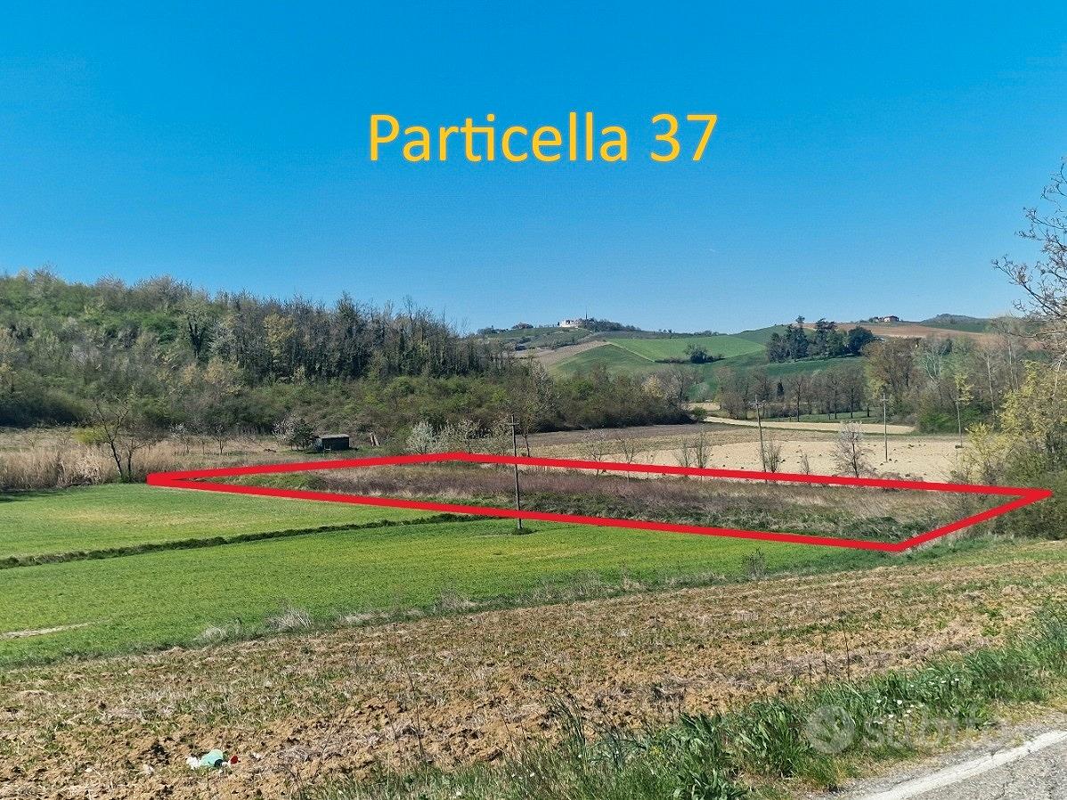 Terreni Agricoli Camagna Monferrato (AL) - Vista 4