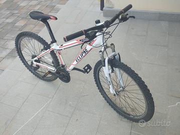 Bicicletta da ragazzo 