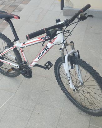 Bicicletta da ragazzo 
