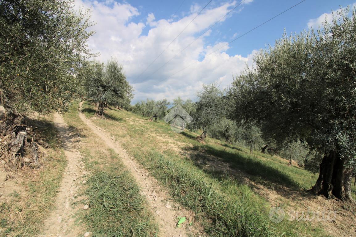 TER. AGRICOLO A SALISANO - Vista 5