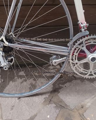 bici fontana per eroica 