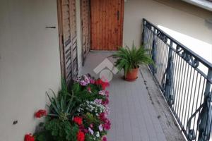 4 LOCALI A SAN POTITO ULTRA