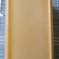 Contenitore da Frigo Tupperware 