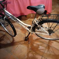 bicicletta 