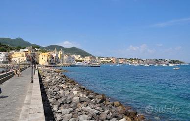 Ischia Appartamento con terrazzo mediterraneo