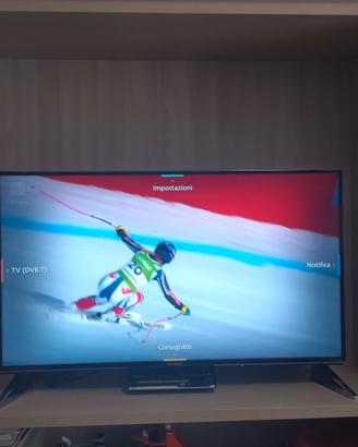 TV Panasonic 40 pollici  4K 