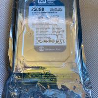 Hard disk Wd 250 Gb Blue