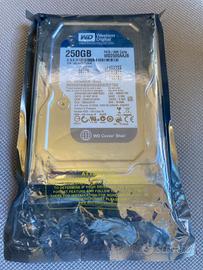 Hard disk Wd 250 Gb Blue