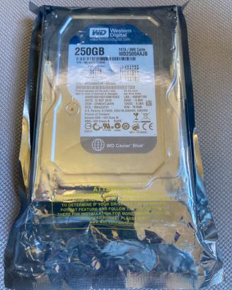 Hard disk Wd 250 Gb Blue