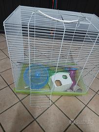 gabbia per criceti