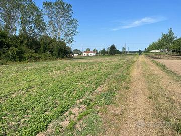 Terreno di 8500 m² a Codigoro