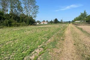 Terreno di 8500 m² a Codigoro