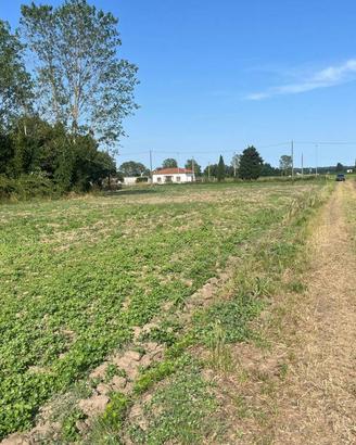 Terreno di 8500 m² a Codigoro