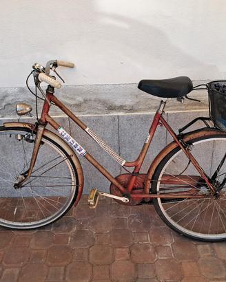Bicicletta Donna 26" Umber
