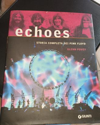 echoes- storia completa dei Pink floyd