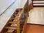 Immagine 11