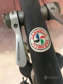 Bici da corsa Bottecchia vintage