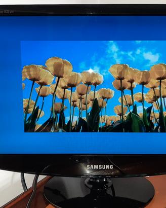 monitor Samsung 19"