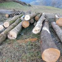 Legna da opera per la realizzazione di tavole 