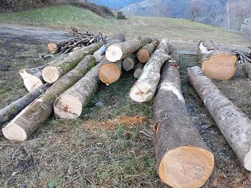 Legna da opera per la realizzazione di tavole 