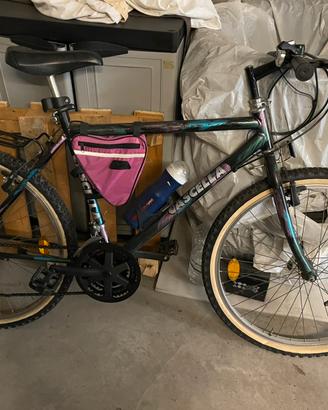 Mountain bike Cascella