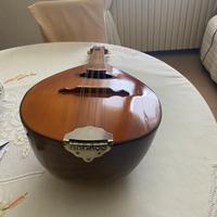 Mandola Meazzi Milano modello student