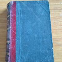 Luigi Palomba - Treno Tropea.  Gita a Frascati - L