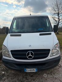 Sprinter