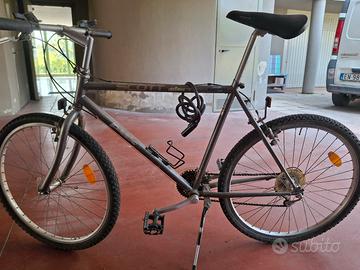 Mtb uomo Scott