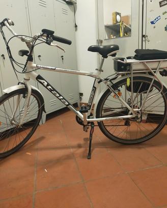 atala elettrica 
