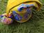 Immagine 1