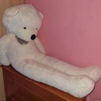 Orsacchiotto Orso