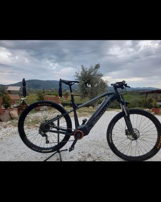 Biciclette e mtb