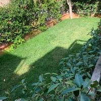 Porto ercole casa con giardino