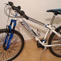 Bici torpado