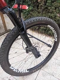 ruote 29 MTB damil core carbon evo