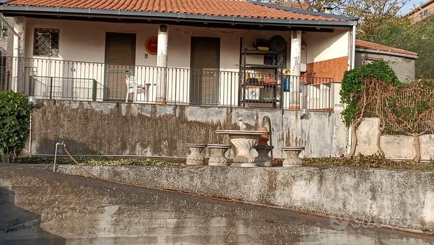 Toeletta pensione ed associazione per cani