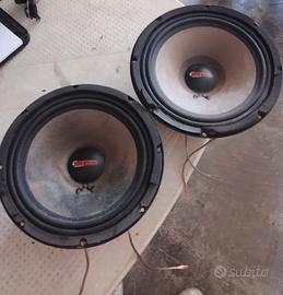 Coppia di Woofer ad alta efficienza 